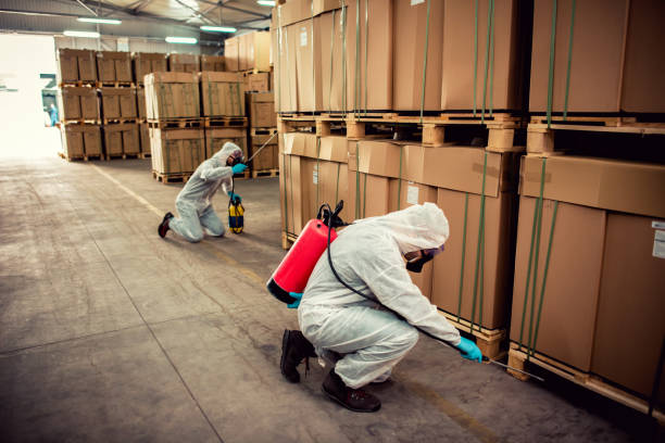 Best Bed Bug Extermination  in Indian Rocks Beach, FL