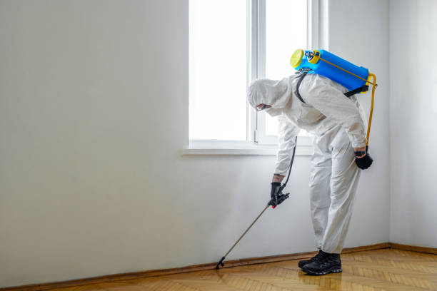 Professional Pest Control in Indian Rocks Beach, FL