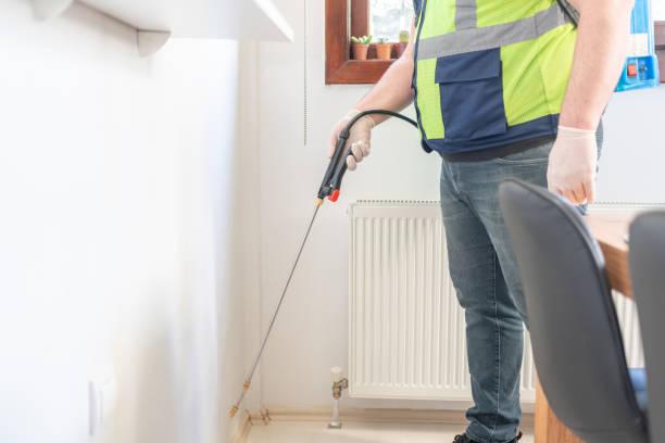 Best Flea Control Services  in Indian Rocks Beach, FL