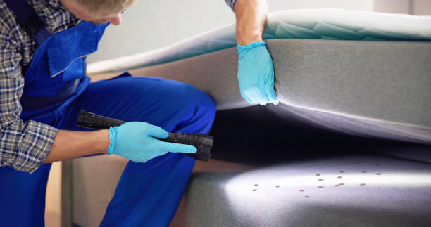Pest Control Cost in Indian Rocks Beach, FL