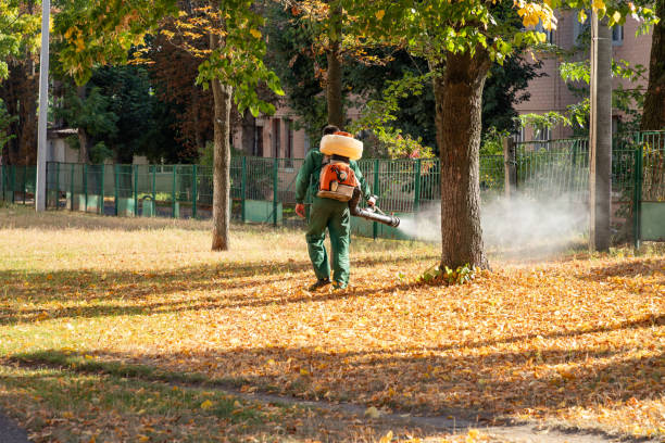 Best Best Pest Control Companies  in Indian Rocks Beach, FL