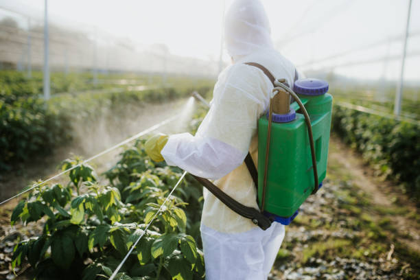 Best Mosquito Control Services  in Indian Rocks Beach, FL
